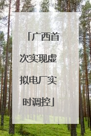 广西首次实现虚拟电厂实时调控